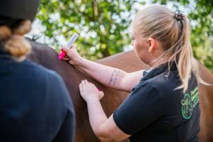 Sattelanpassungen_Moritz-2-min