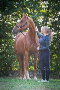 Sattelanpassungen_Moritz-min